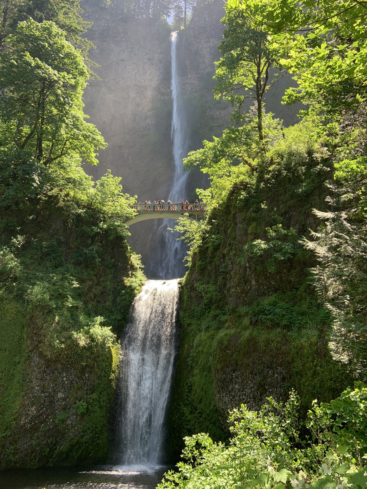 Multnomah Falls on the Columbia River Gorge in Oregon.